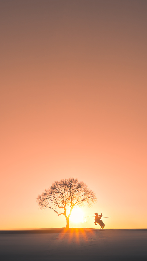 勇士锁链下的爆发,武切维奇奥运前夜挣脱束缚的嘶吼