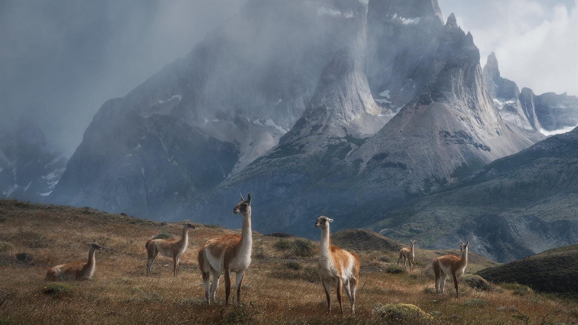 绿茵终章,当克瓦拉茨赫利亚的沉默,击碎国际米兰加时赛的叹息