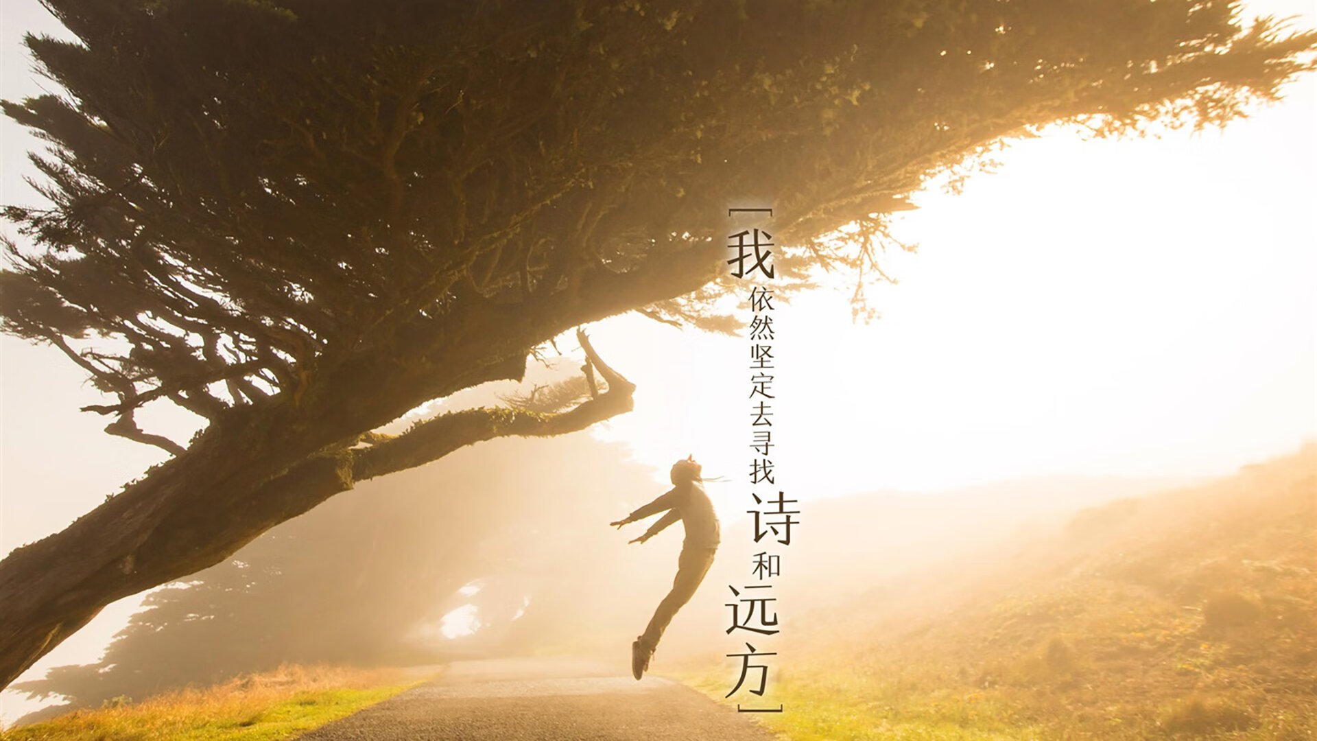 铁血拜仁啃下硬骨头，天才门迪主宰攻防两端