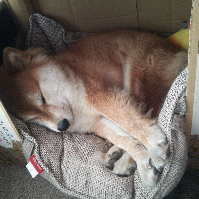 开云体育登录-独舞与交响曲，无解东契奇助雷霆力克76人