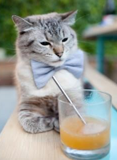 那个下午的塞维利亚，唯一被历史选择的时间维度