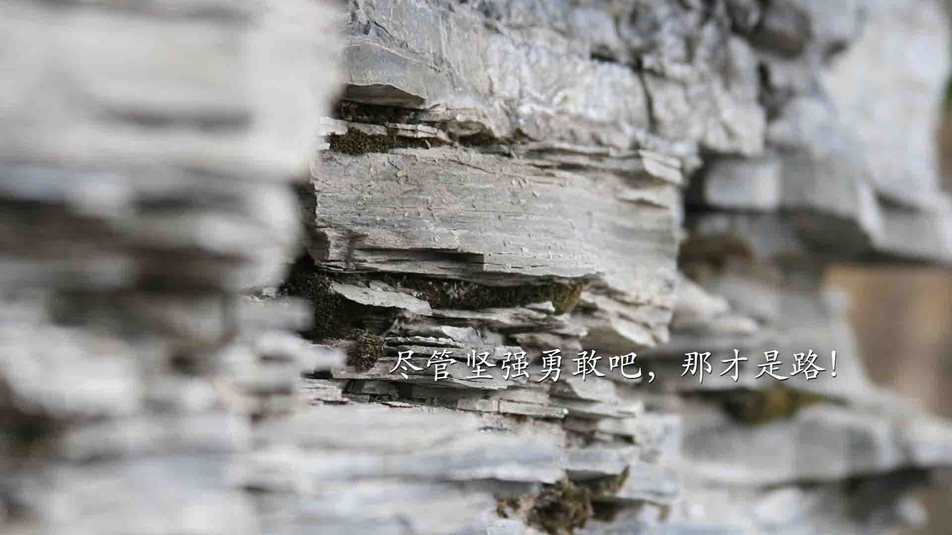 赛道与球场的极速之夜,当F1新赛季轰鸣启程,武切维奇何以成为无争议的最佳?