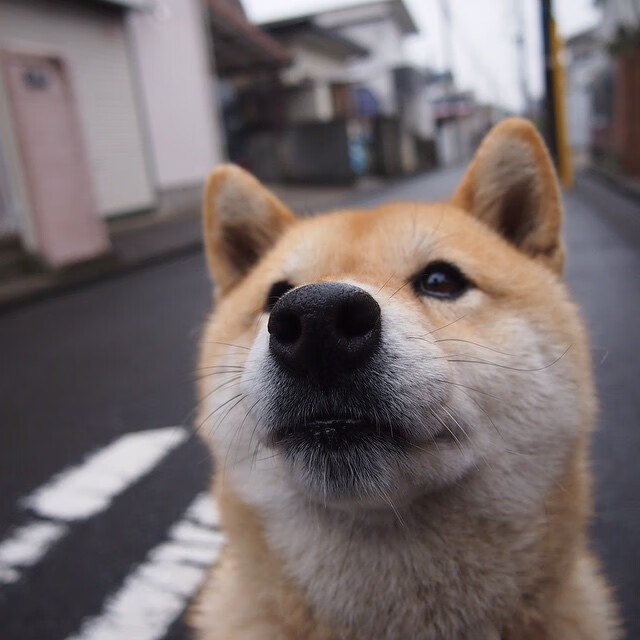 开云体育入口-首先，为您扩展思维，拟定一个独特的文章标题
