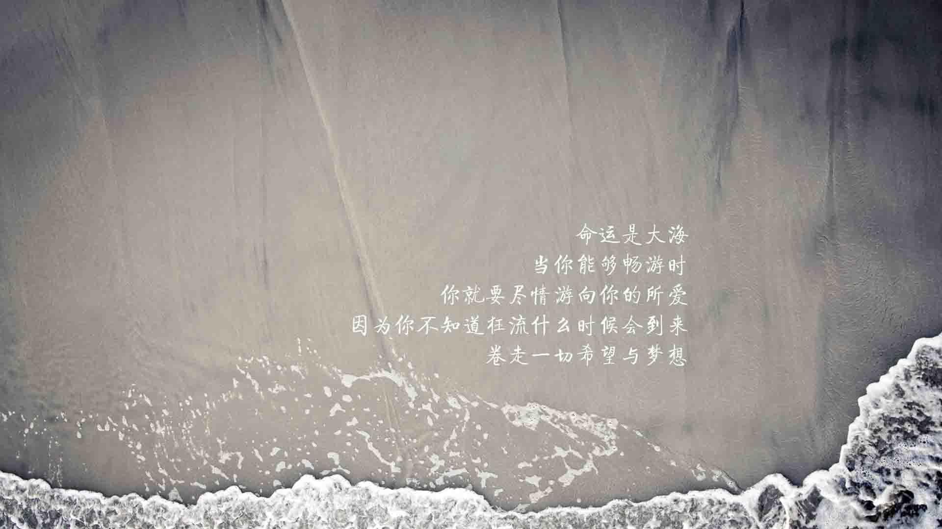 开云体育中国-北欧铁骑的悬崖边舞蹈，坎塞洛导演逆转绝杀，瑞典2-1险胜印度，A组出线战上演冰与火之歌